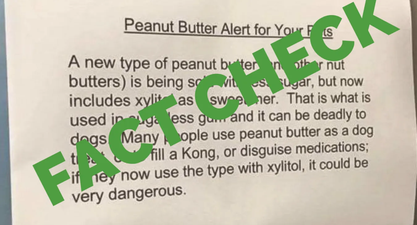 FACT CHECK is peanut butter safe for dogs Companion Animal Veterinary Hospital